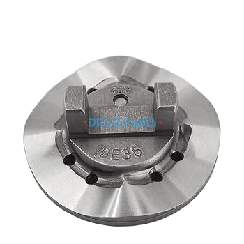 Amazon.com: 2PCS Diesel Cam Disk 0962300350 Fuel Pump 4